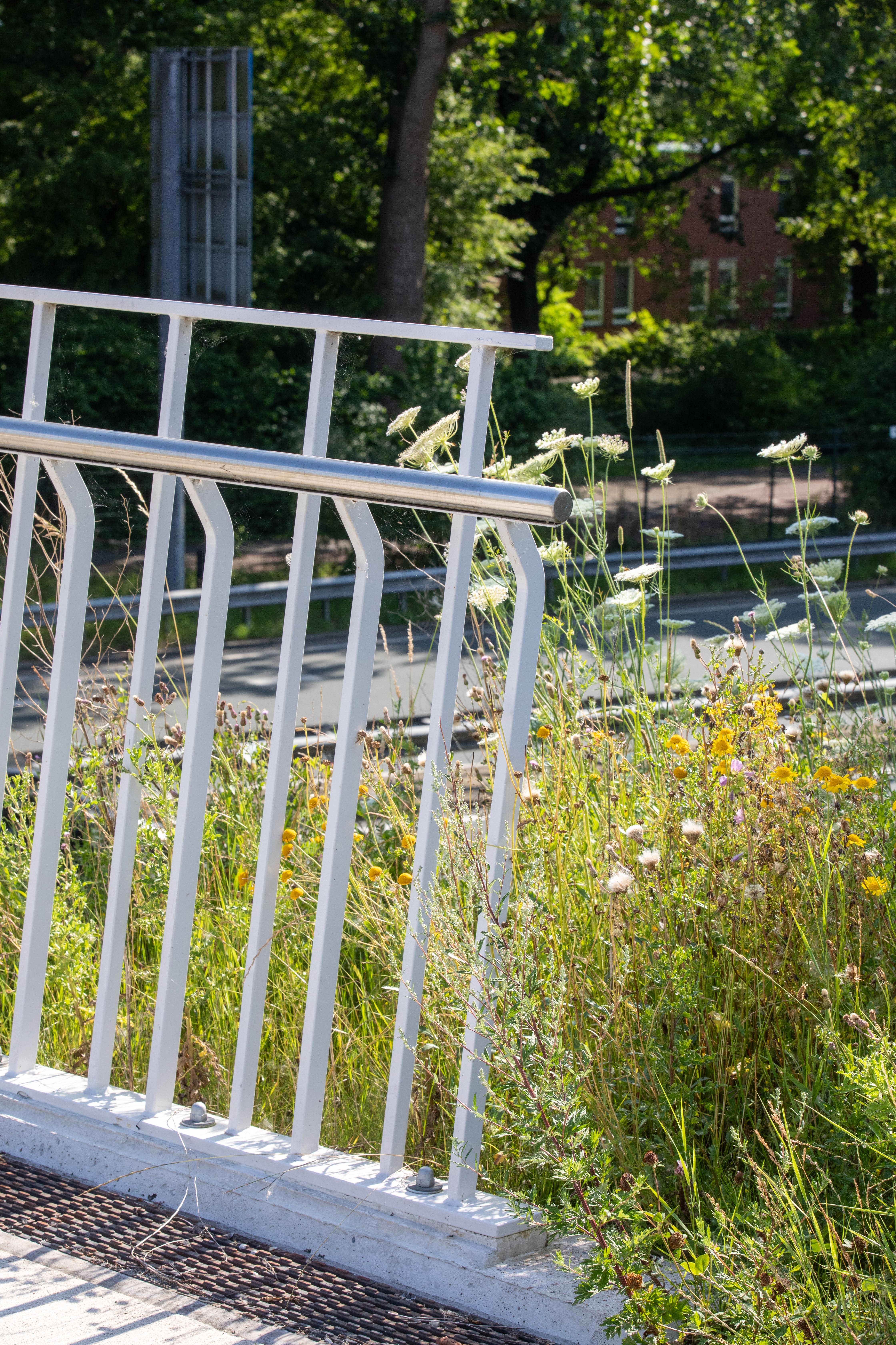 fietsbrug N370